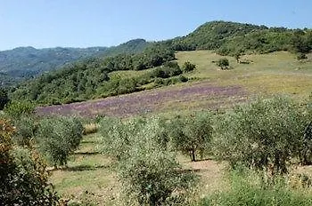 La Banditaccia Hotel Cinigiano